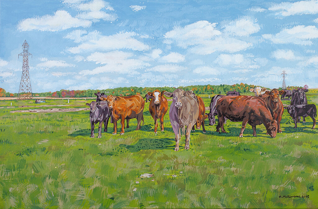 Cows in a meadow